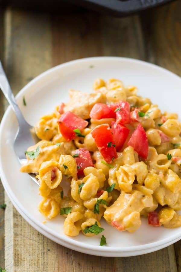 One Pot Southwestern Chicken Macaroni and Cheese Countryside Cravings
