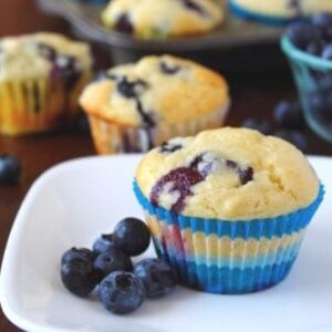 Blueberry Yogurt Muffins