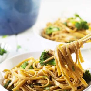 Broccoli and Chicken Noodle Bowl- a quick, easy and tasty weeknight meal! | countrysidecravings.com