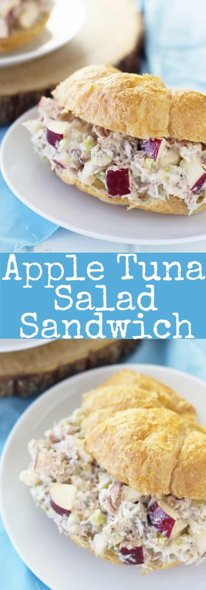 Apple Tuna Salad Sandwich Countryside Cravings