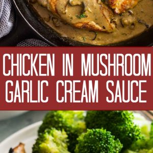 chicken in garlic mushroom cream sauce pinterest