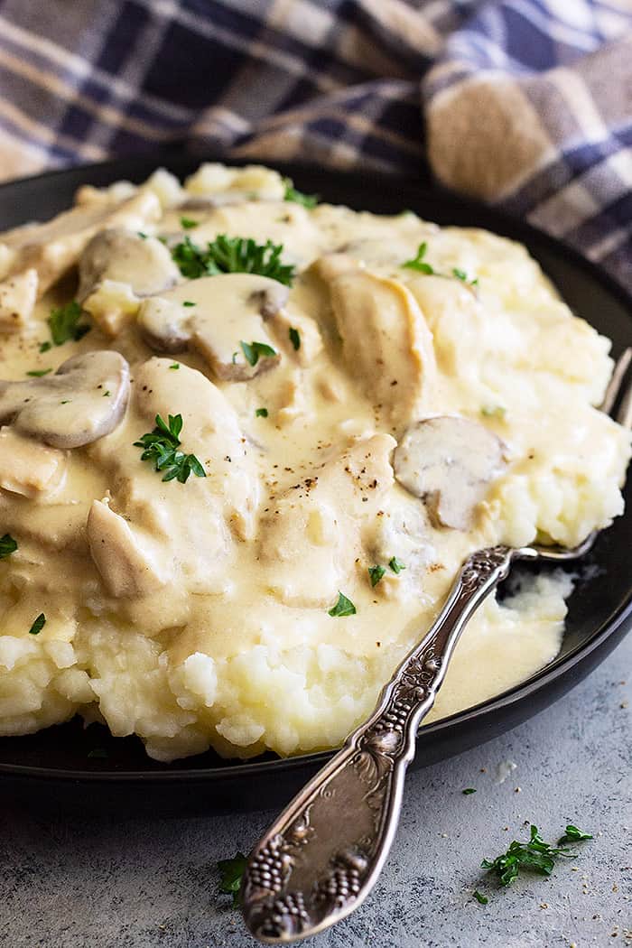 A plate of chicken stroganoff. 