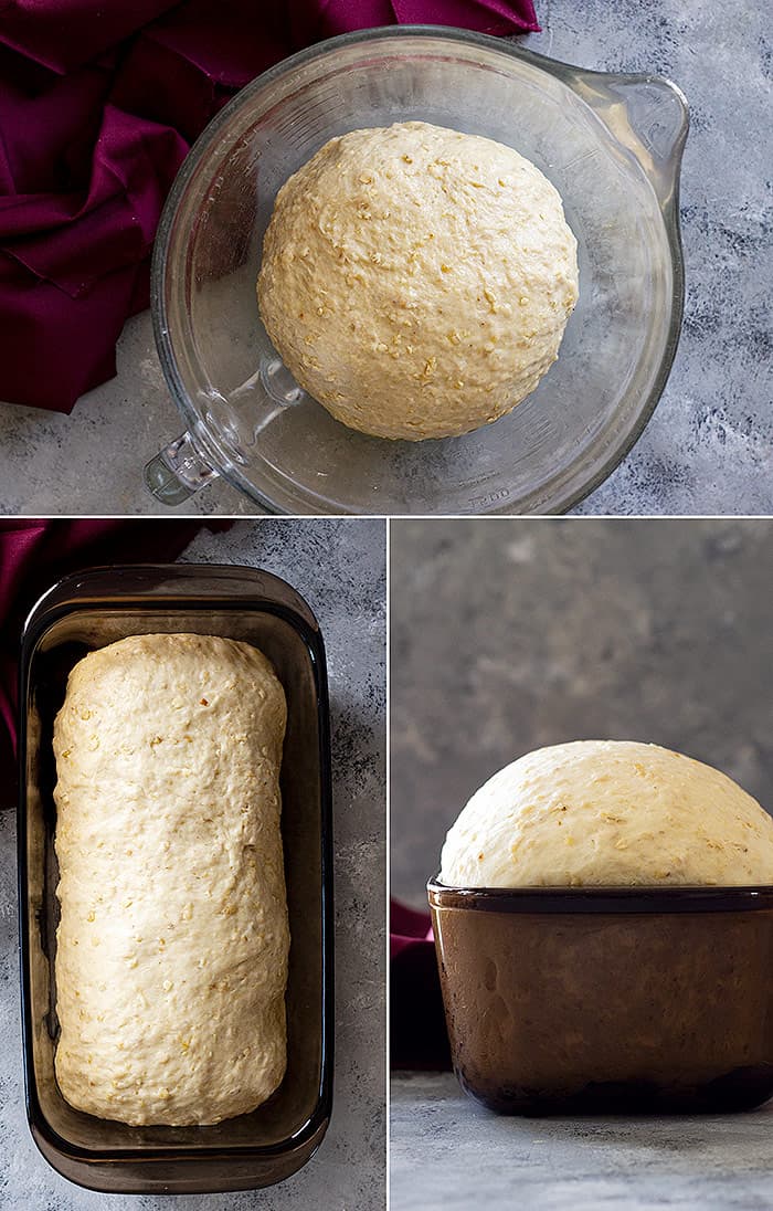 Pictures of bread dough rising and placed in baking pan. 