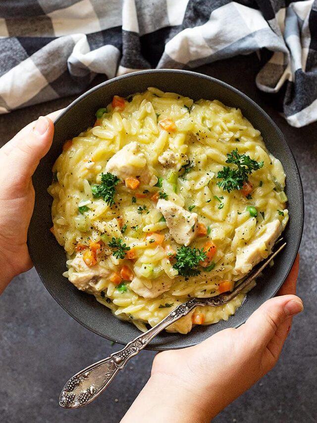 Hands holding a bowl of chicken orzo with a spoon in it.