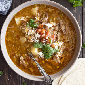 Overhead view of stew in a bowl garnished with cilantro, pico de gallo, and cheese.