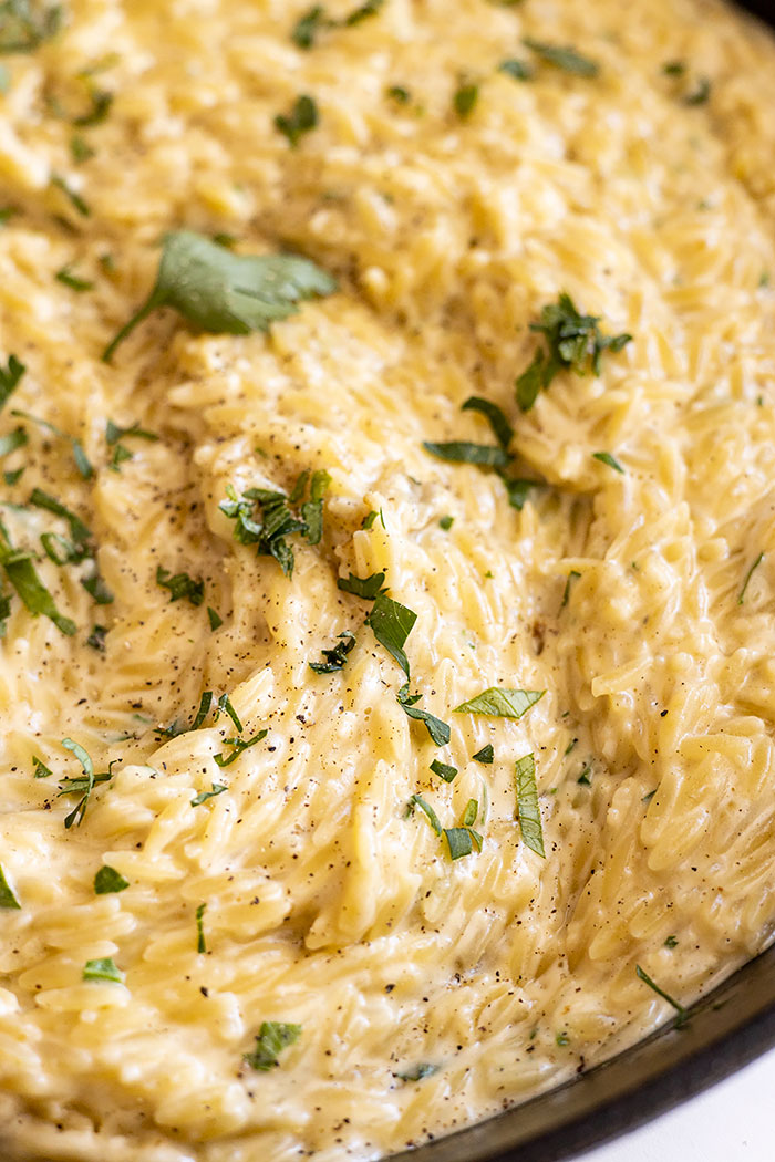 Close up of this creamy pasta dish. 