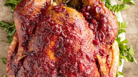 Overhead view of a whole turkey glazed with a yummy homemade cranberry sauce.