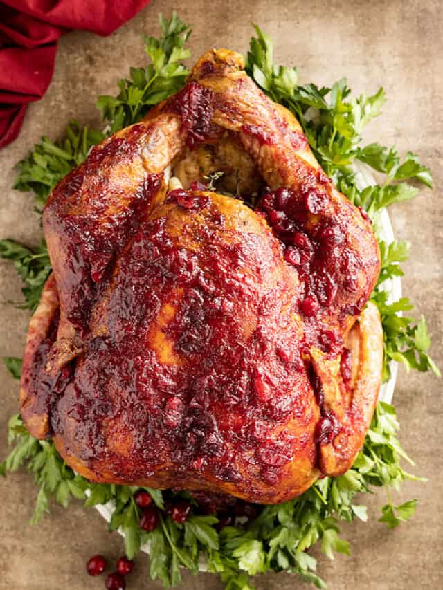 Overhead view of a whole turkey glazed with a yummy homemade cranberry sauce.