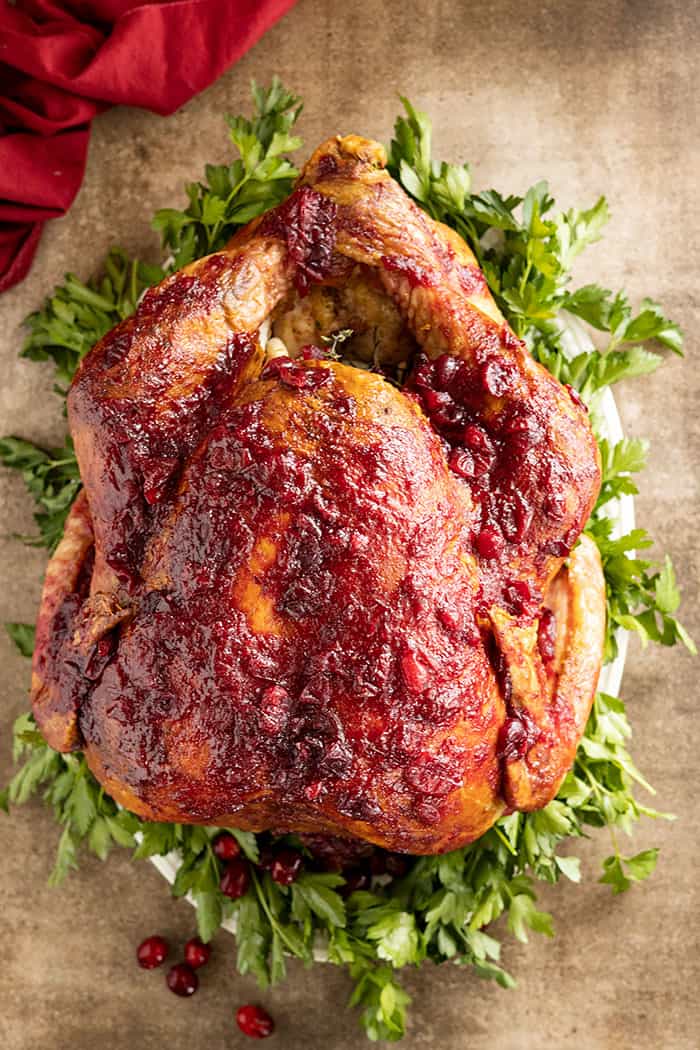 Overhead view of a whole turkey glazed with a yummy homemade cranberry sauce. 