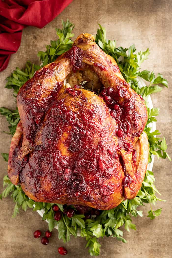 Overhead view of a whole turkey glazed with a yummy homemade cranberry sauce.