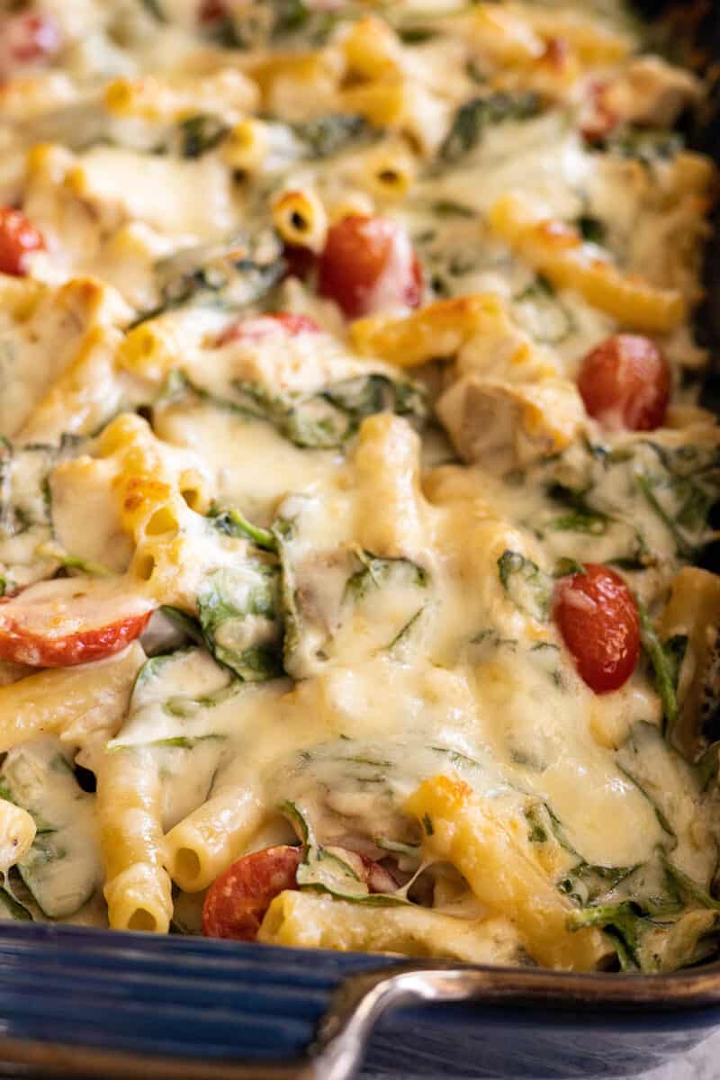 Close up of chicken florentine pasta casserole from the oven. 