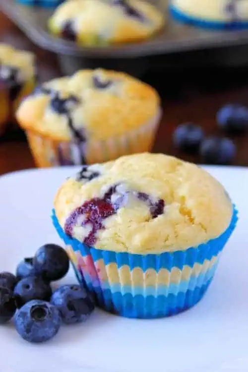 closeup: blueberry yogurt muffins with one on a plate with extra blueberries to the side