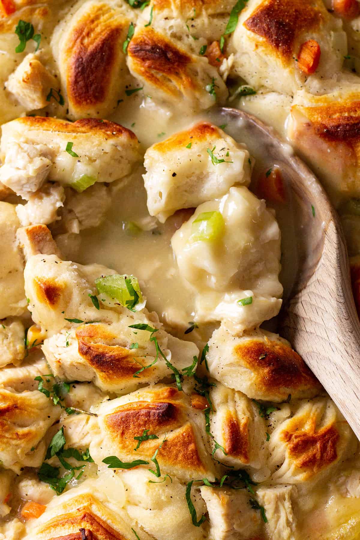 Close up of chicken pot pie casserole with spoon in it. 