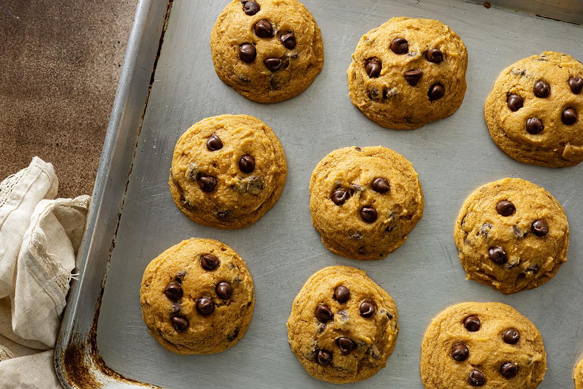 Cookies fresh from the oven on a baking sheet. 