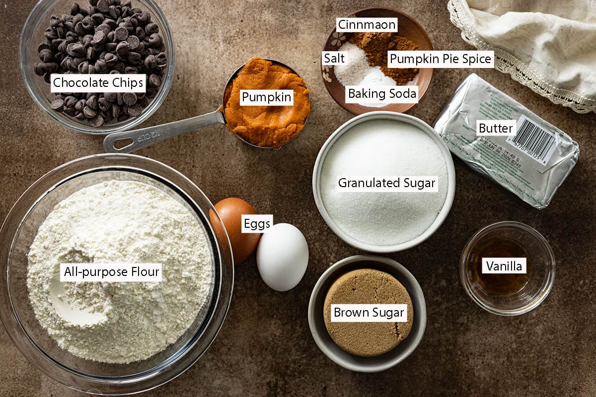 Ingredients: chocolate chips, pumpkin, salt, cinnamon, pumpkin pie spice, butter, sugar, brown sugar, vanilla, eggs, and flour.