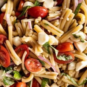 Close up of the bruschetta pasta salad