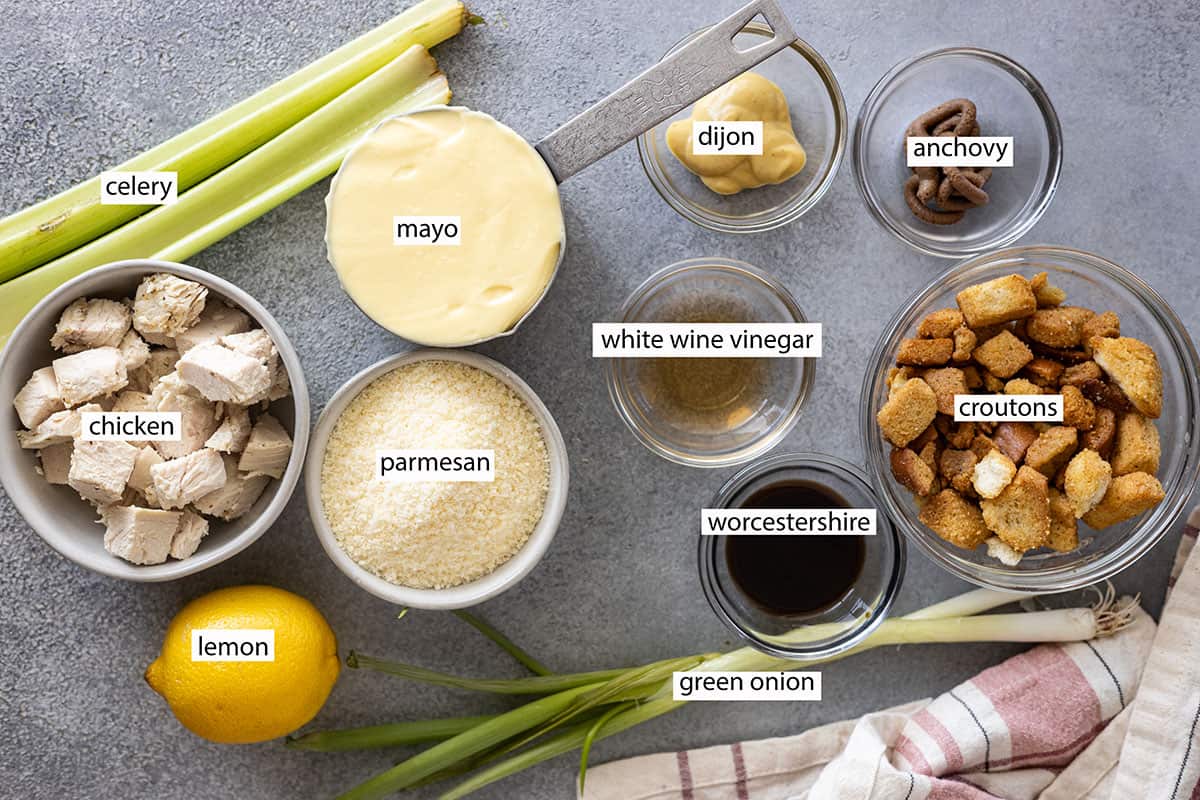 Ingredients: chicken, celery, lemon, mayo, parmesan, green onion, Dijon, white wine vinegar, Worcestershire, anchovy paste, croutons.