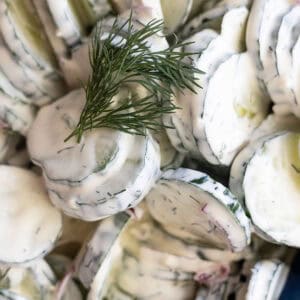 Close up of creamy cucumber salad with a sprig of dill for garnish.