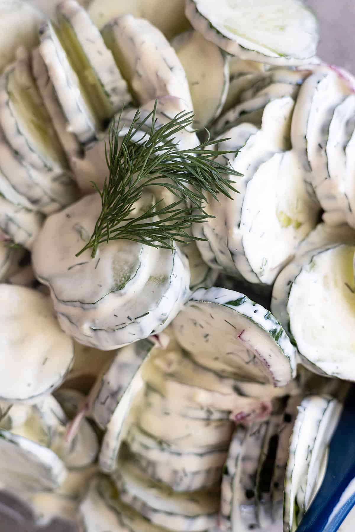 Close up of creamy cucumber salad with a sprig of dill for garnish.